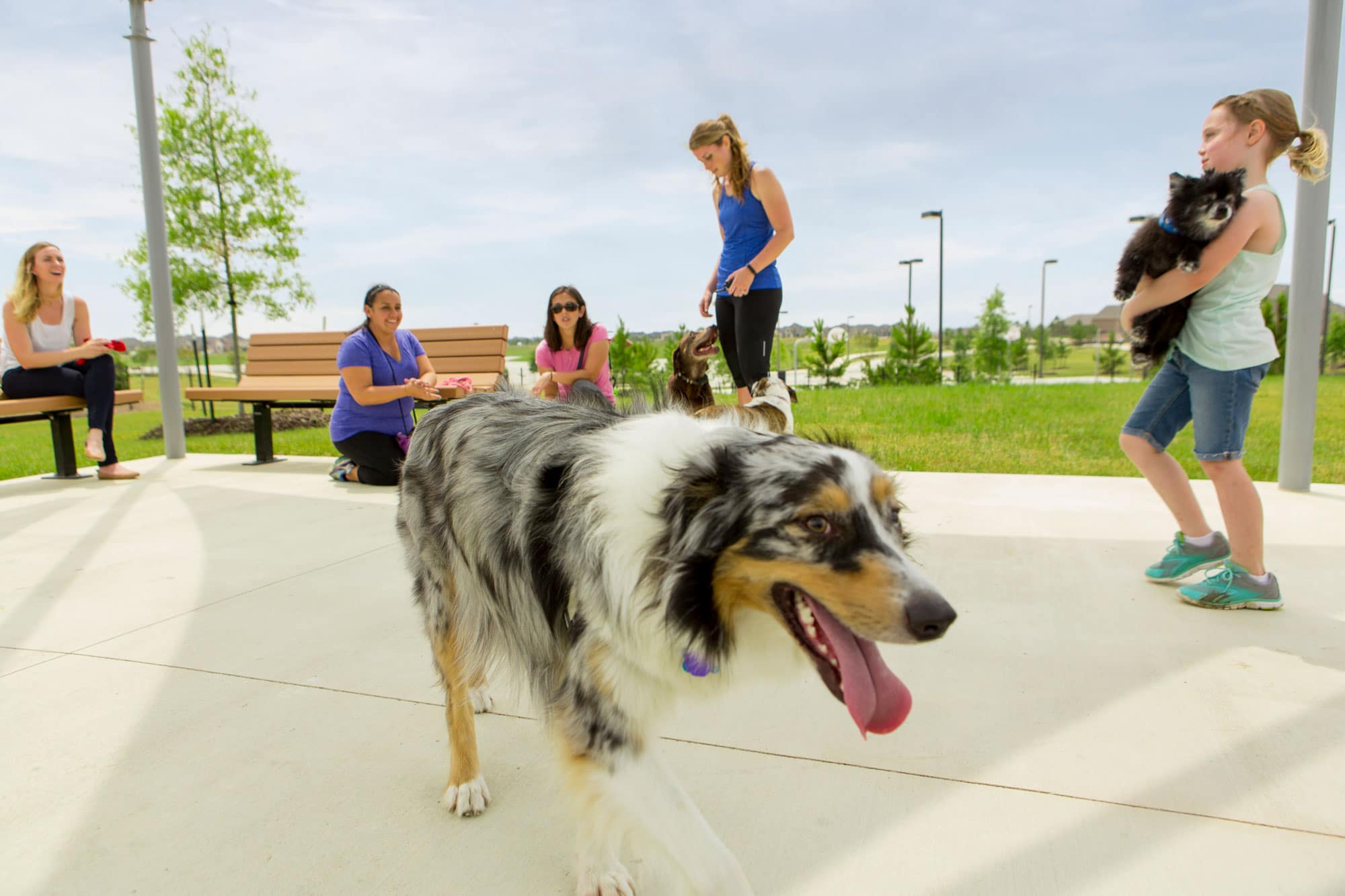 Lakeland Village Dog Park