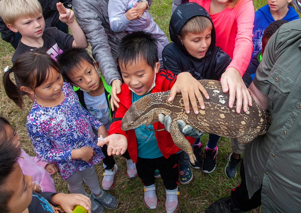 Bridgeland Nature Fest