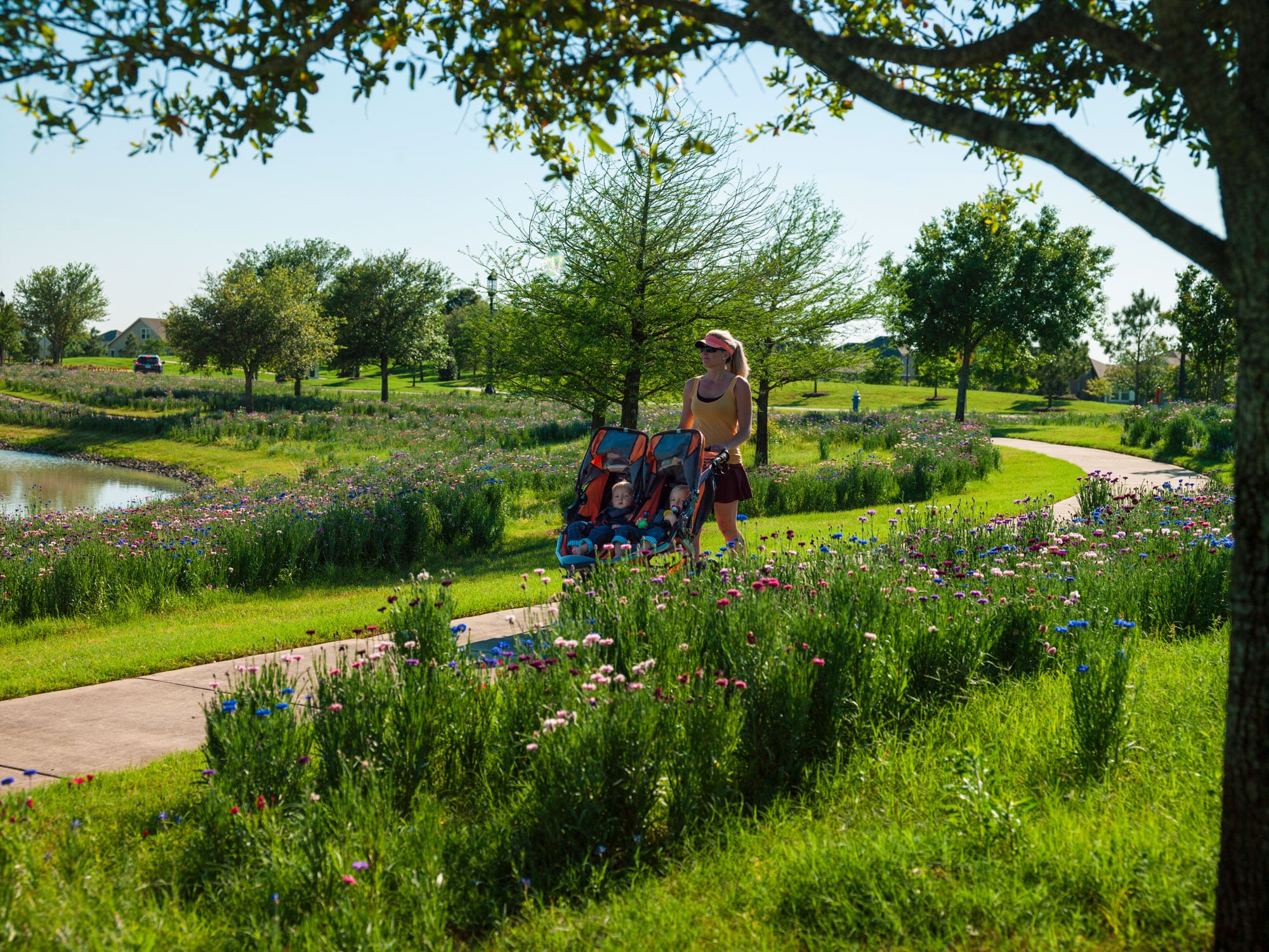 Bridgeland Wildflowers