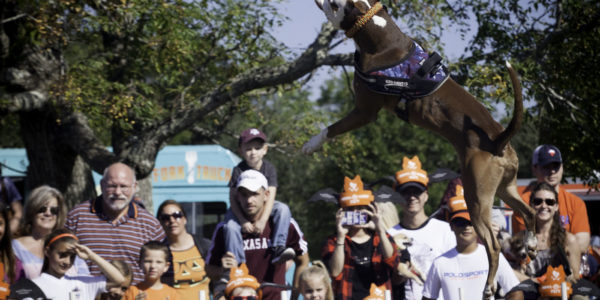 Bridgeland Howl Fest