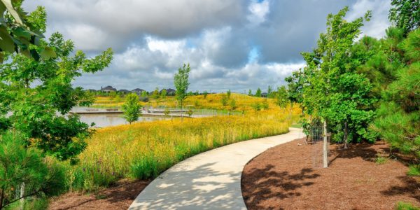 Bridgeland Josey Lake Park Trail